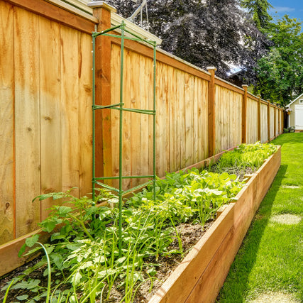 FencingA wooden fence enclosing a yard.