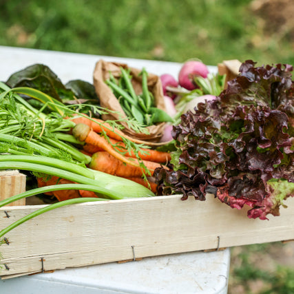 Lawn & GardenGarden vegetables.