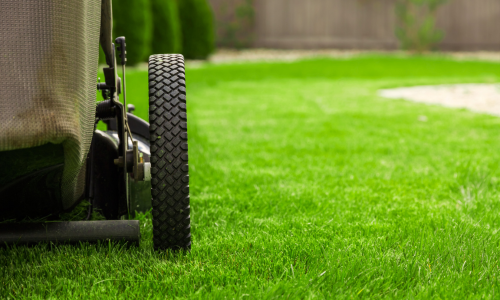 A close-up of a push mower tire.