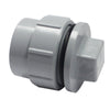 Canplas PVC DWV Female Adapter, Female National Pipe Thread (FPT) Cleanout O-Ring and Plug, Spigot x FPT